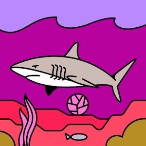 Meet your Posher, Carleigh